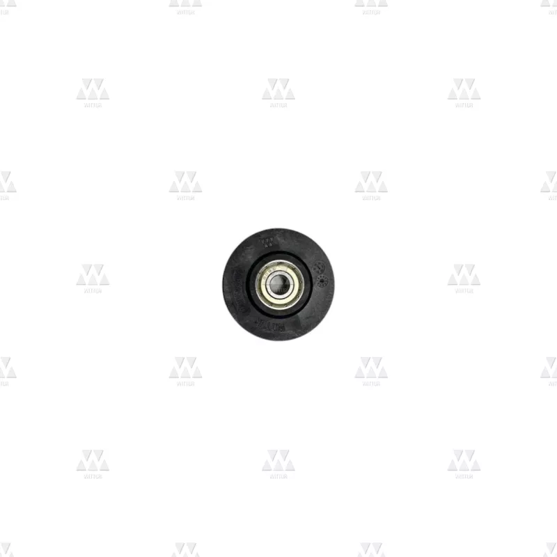 1090545A01 | ROLLER FOR RECLOSING SYSTEMS Ø48MM